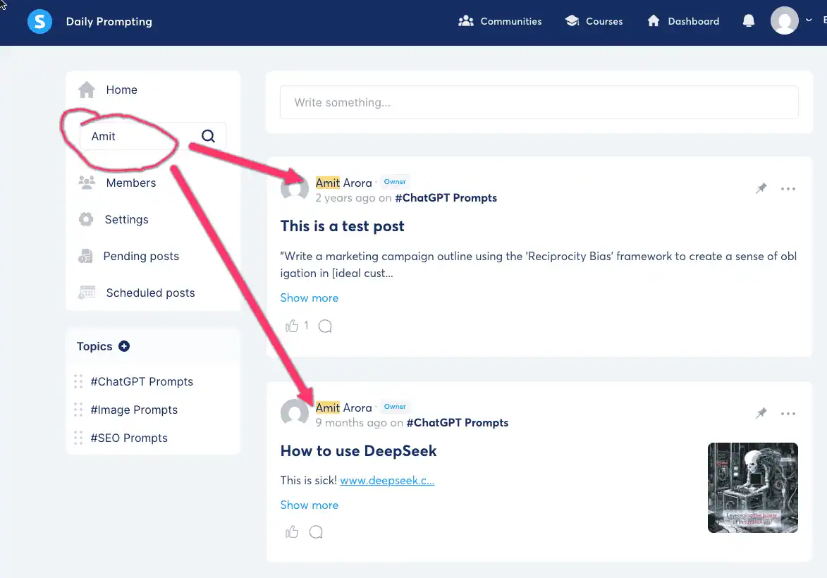 Community search in systeme.io