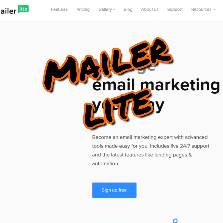 Mailerlite Use these 5 tools for creating an Online Course – #05 is a No-Brainer 6