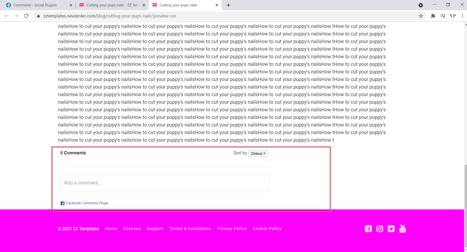 preview the post preview the post