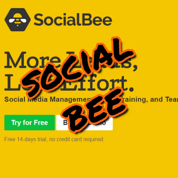 social bee Use these 5 tools for creating an Online Course – #05 is a No-Brainer 12